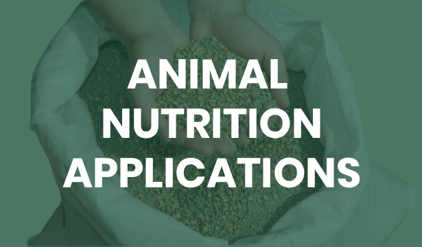 Animal Nutrition Applications