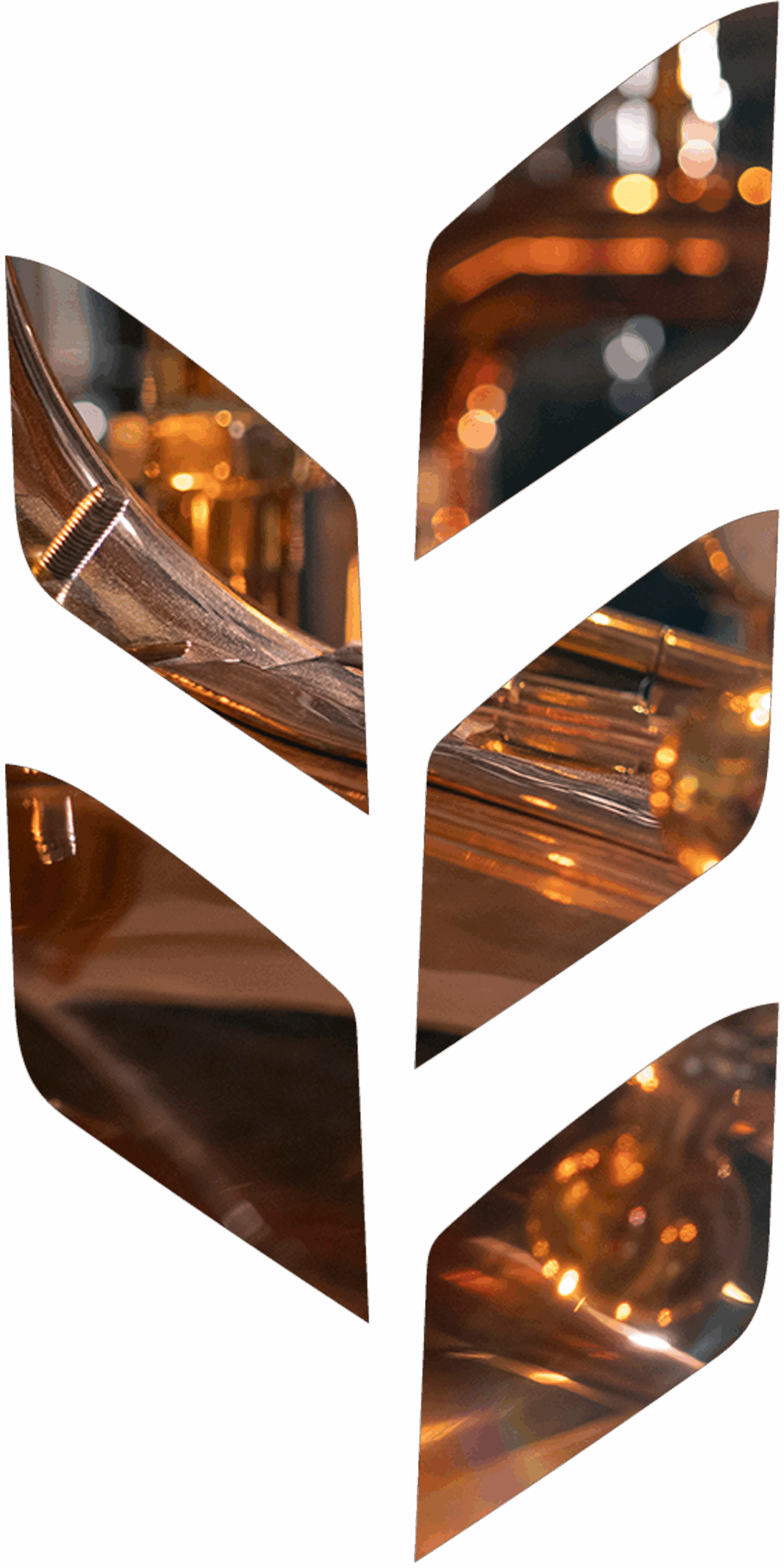 ProteinDistillery logo